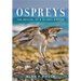 Ospreys: The Revival of a Global Raptor