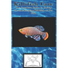 Killifish Care: The Complete Guide to Caring for and Keeping Killifish as Pet Fish