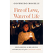 Fire of Love, Water of Life: Exploring the Meaning and the Beauty of the Easter Vigil