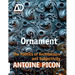 Ornament: The Politics of Architecture and Subjectivity