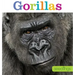 Seedlings: Gorillas