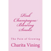 Pink Champagne Pt 1.: Smoke, Mirrors, and Life