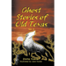 Ghost Stories of Old Texas Vol. 2