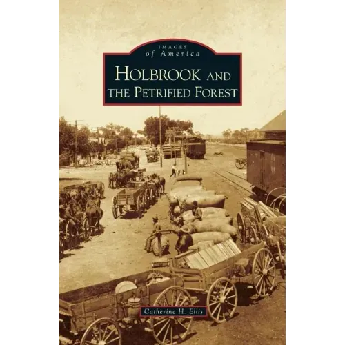 Holbrook and the Petrified Forest