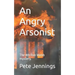 An Angry Arsonist: The 4th Ron Webb mystery.