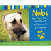 Nubs: The True Story of a Mutt, a Marine & a Miracle
