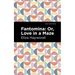 Fantomina: ;Or, Love in a Maze