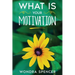 What Is Your Motivation?