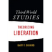 Third World Studies: Theorizing Liberation