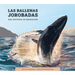 Las Ballenas Jorobadas: Una Historia de Migración