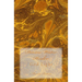 Divine Water Healer: God Light