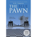 The Blue Pawn: A Memoir of an NYPD Foot Soldier