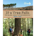 If a Tree Falls: The Global Impact of Deforestation