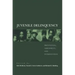 Juvenile Delinquency: Prevention, Assessment, and Intervention