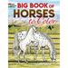 Big Book of Horses to Color