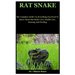 Rat Snake: The Complete Guide On Everything You Need To Know About Rat Snake Care, Health Care, Housing And Feeding