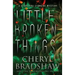Little Broken Things