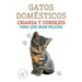 Gatos Domésticos Crianza y Consejos Para que Sean Felices