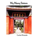 My Many Sisters, the Journal of a Volunteer with the Daughters of Charity
