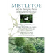 Mistletoe and the Emerging Future of Integrative Oncology