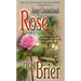 Rose from Brier