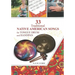 33 Traditional Native American Songs for Tongue Drum and Handpan: Play by Number