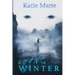 A Man in Winter