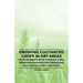 Growing Cultivated Crops in Dry Areas - With Information on Growing Corn, Sorghums, Potatoes, Field Beans and Field Roots on Dry Land Farms