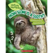 How Slow Is a Sloth?: Measure the Rainforest (Nature Numbers)