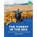 The Forest in the Sea: Seaweed Solutions to Planetary Problems