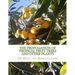 The Propogation of Tropical Fruit Trees and Other Plants: Bureau of Plant Industry, Bulletin 48