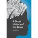 A Short History of the Brain