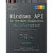 Accelerated Windows API for Software Diagnostics: With Category Theory in View, Second Edition
