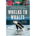 Whelks to Whales: Coastal Marine Life of the Pacific Northwest, Newly Revised and Expanded Third Edition