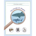 The Scoop on Sharks