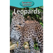 Leopards