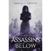 Assassins Below: Tales From Haven City