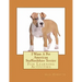 I Want A Pet American Staffordshire Terrier: Fun Learning Activities