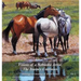 Visions of a Nebraska Artist, The Journey Continues: Paintings and drawing of David Dorsey