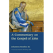 A Commentary on the Gospel of John