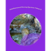 Multidimensional Dowsing Questions: Volume II