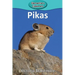 Pikas