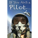 If You Ain't a Pilot...