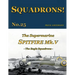 The Supermarine Spitfire Mk. V: The Eagle Squadrons