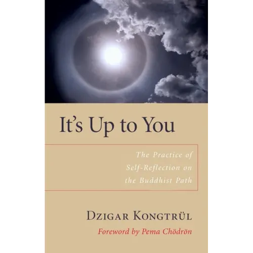 It's Up to You: The Practice of Self-Reflection on the Buddhist Path