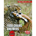 Food Chains and Webs