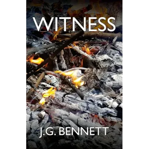 Witness: The Story of a Search