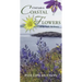 A Field Guide to Coastal Flowers of the Pacific Northwest