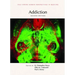 Addiction, Second Edition