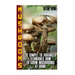 Mushrooms: 20 Simple to Advanced Techniques How To Grow Mushrooms At Home
